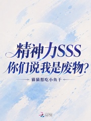 ������SSS������˵���Ƿ��