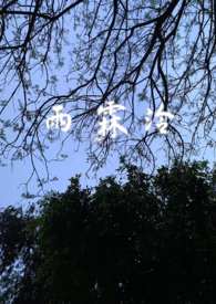 雨霖泠sc，强制爱，前世今生