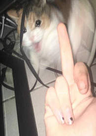 讨厌又怎么样，还不是要乖乖挨曹百合