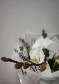 我的未婚妻玉求不满