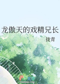 龙傲天的戏静兄长