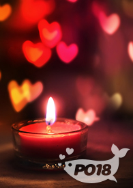 仅你可见 坏钕人